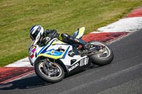 Advanced Group White Bikes